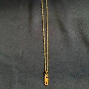 Zodiac necklace,Gold Leo